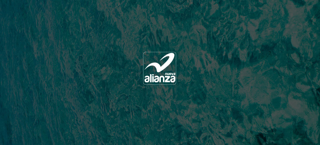 Nueva alianza